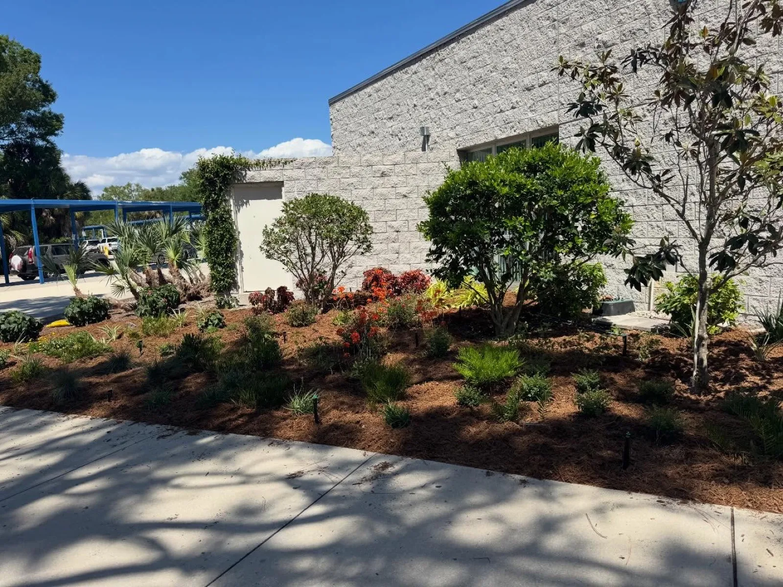 Students gardening, harvest day, planting, garden beds